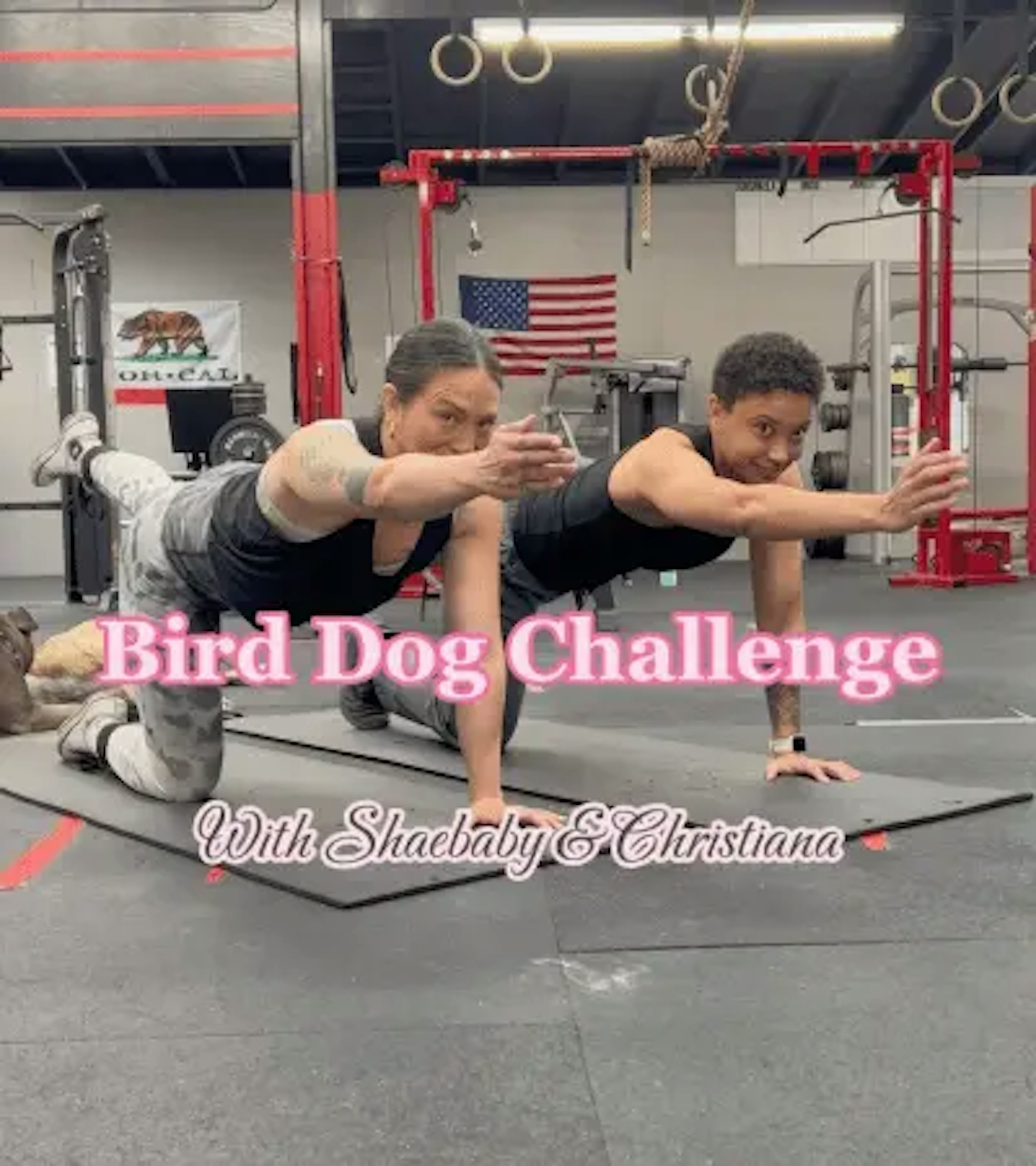 Two personal trainers performing the bird dog exercise challenge.